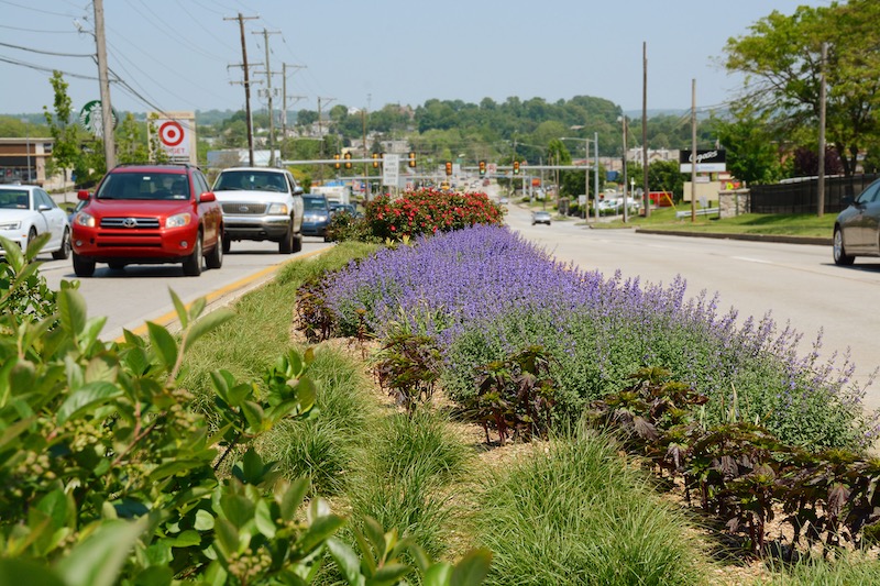 road median next to a line of traffic