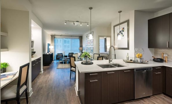 apartment kitchen and living area