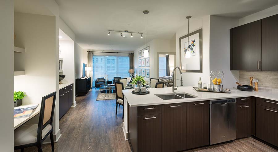 apartment kitchen and living area