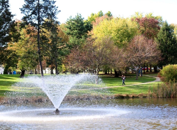 Water fountain on lake with a park with trees in the background