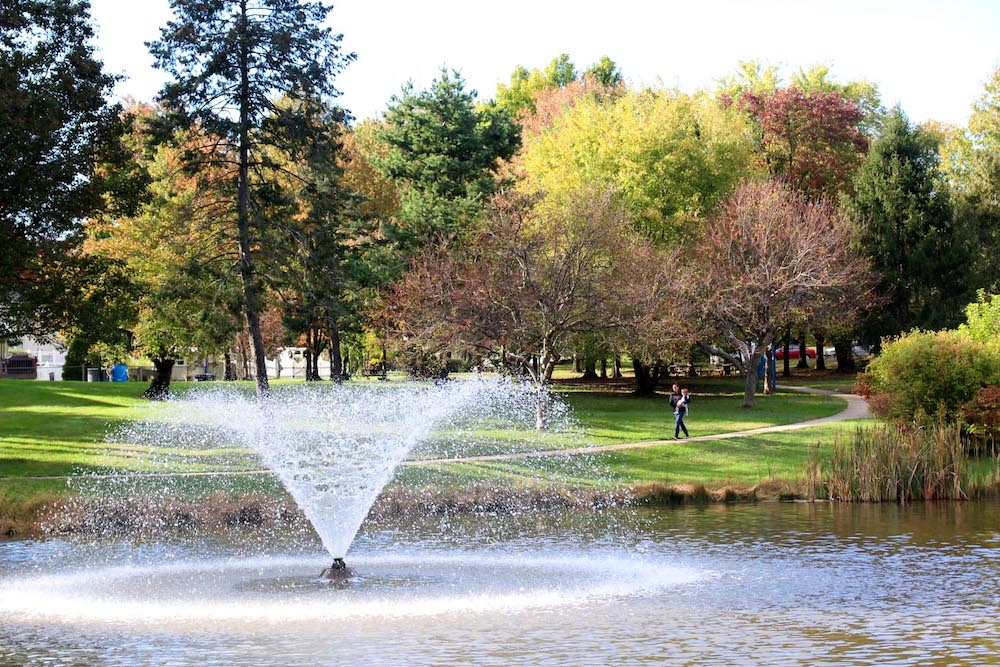 Water fountain on lake with a park with trees in the background
