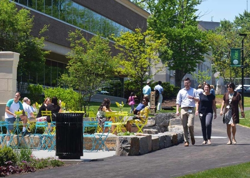 people walking in a business park