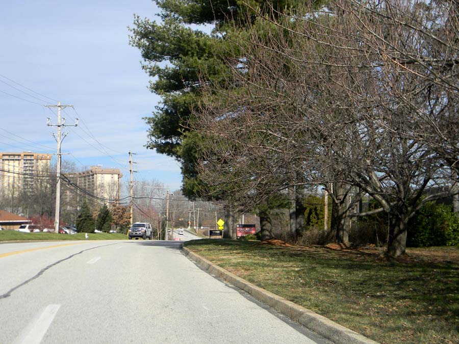 wooded area alongside moore road