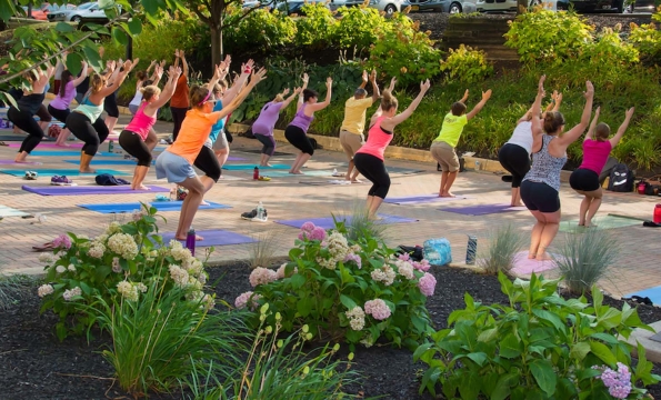 group of people doing outdoor yoga in a park