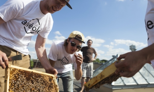 two people leaning in to look at a beehive