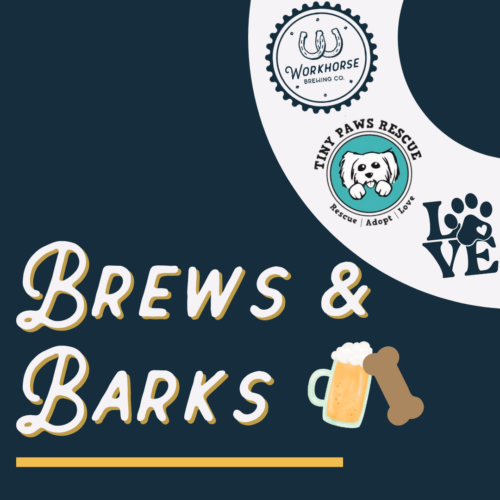 barks and brews graphic