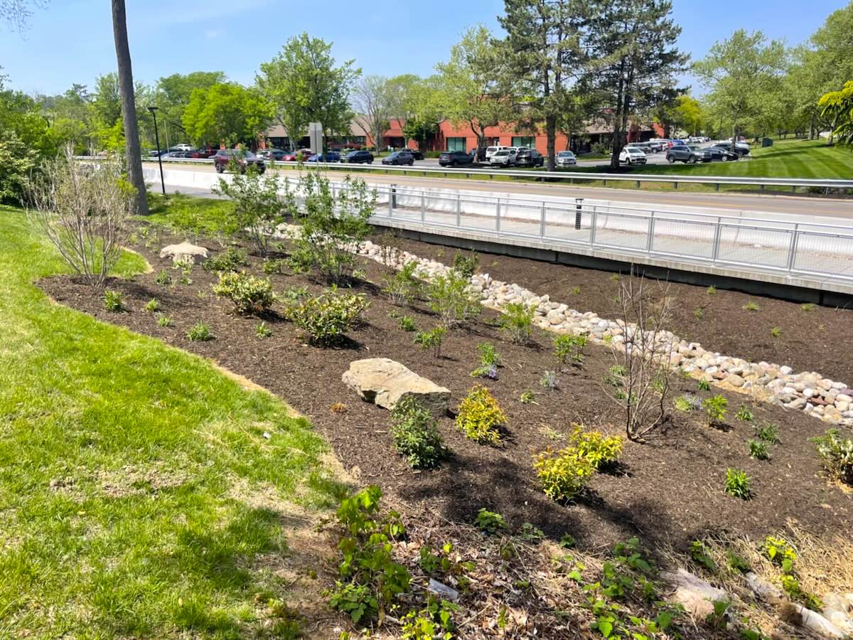 landscaping along a roadway