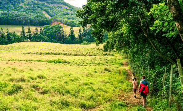 an open green field with hikers in the distance