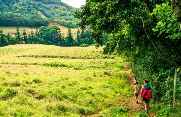 an open green field with hikers in the distance