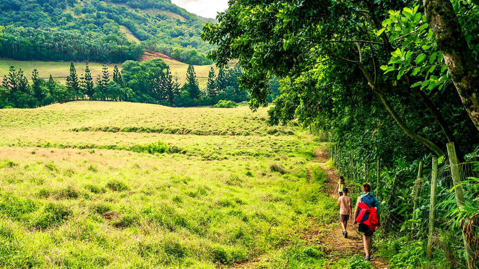 an open green field with hikers in the distance
