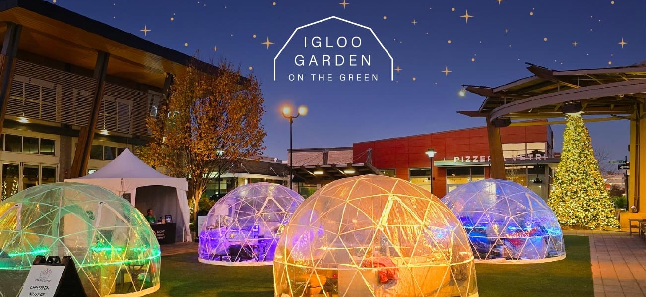 brightly colors igloos at dusk in the middle of a town center