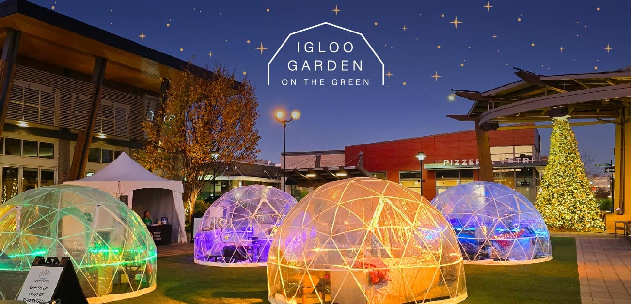 brightly colors igloos at dusk in the middle of a town center