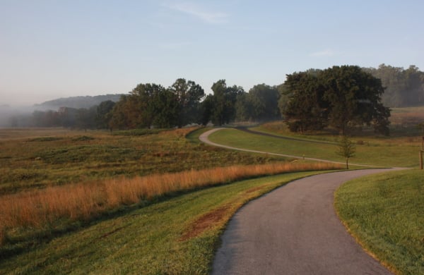 a trail in valley forge park