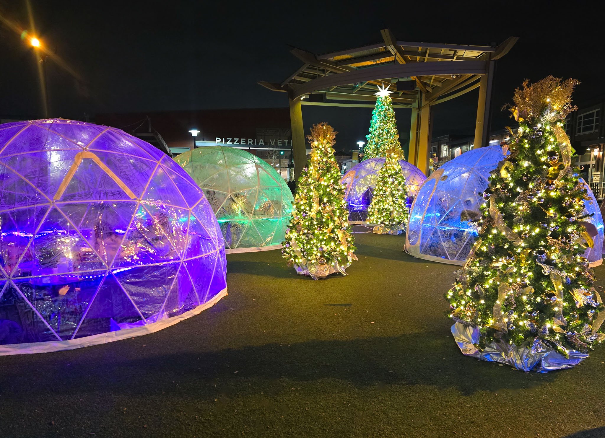 Igloo garden at night