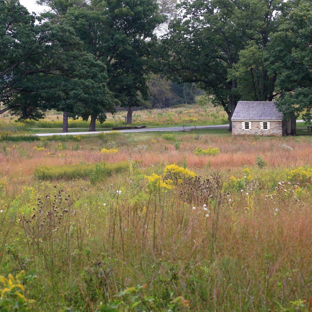 exterior view of valley forge park with a stone building in the distance